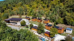 Krikhi Village